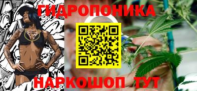 гашик Заволжье