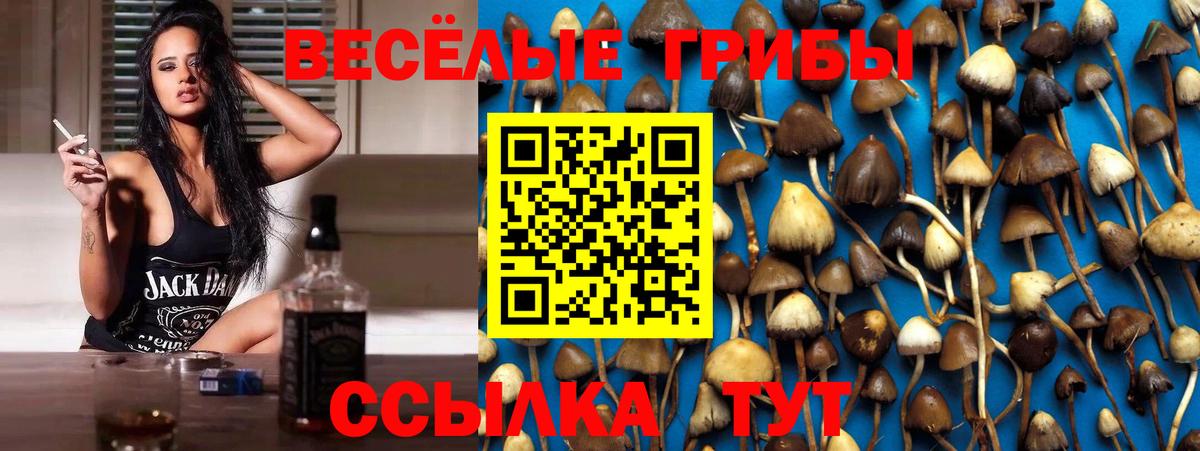Псилоцибиновые грибы MAGIC MUSHROOMS  Псилоцибиновые грибы мицелий  Корсаков  Вход с VPN 